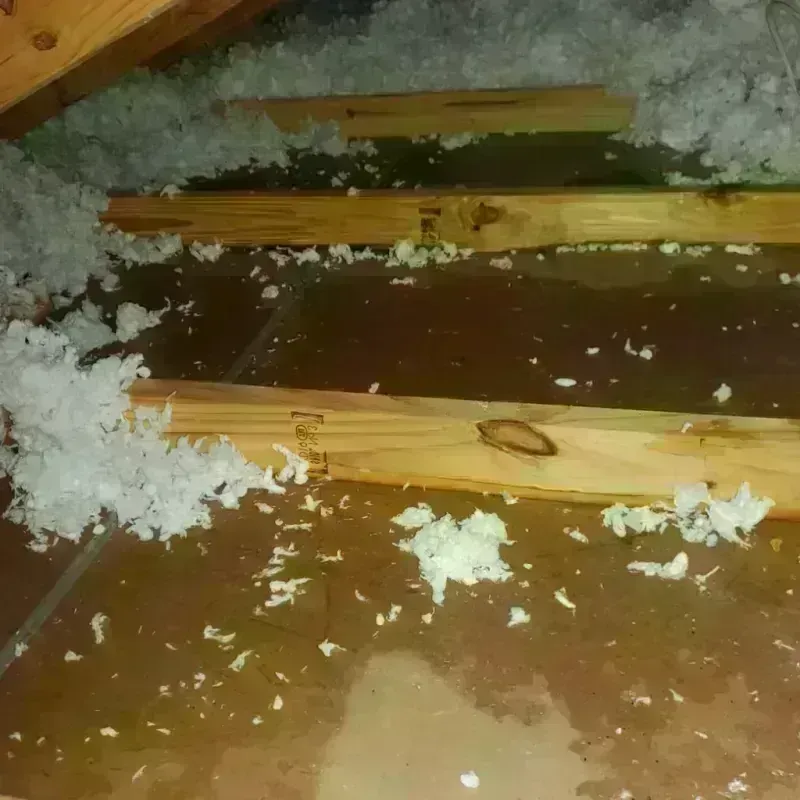 Attic Water Damage in East Lake, FL