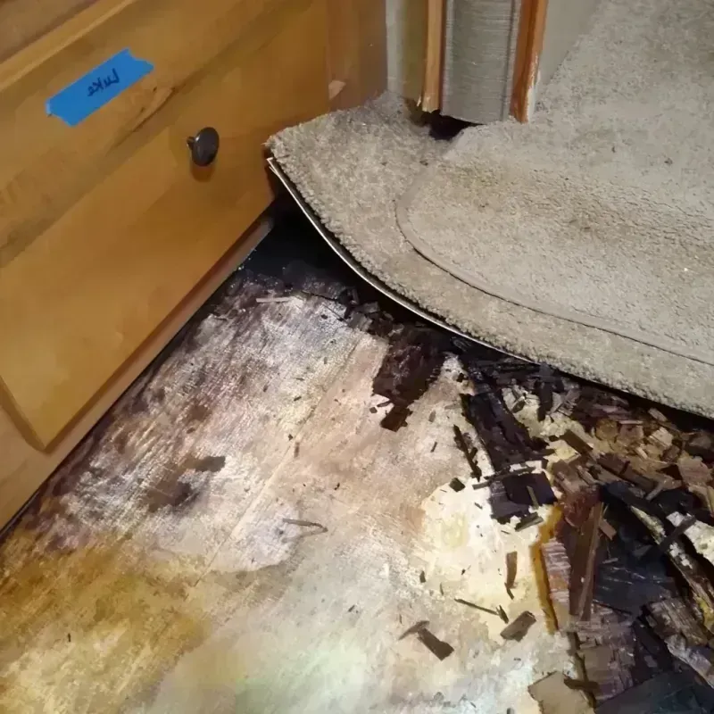 Best Wood Floor Water Damage Service in East Lake, FL